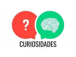 o-misterio-gera-curiosidade-curiosidade-base-d