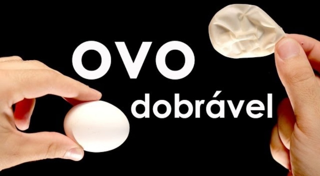 Assista a “Como fazer um ovo dobrável (EXPERIÊNCIA de QUÍMICA e de Biologia)” no YouTube