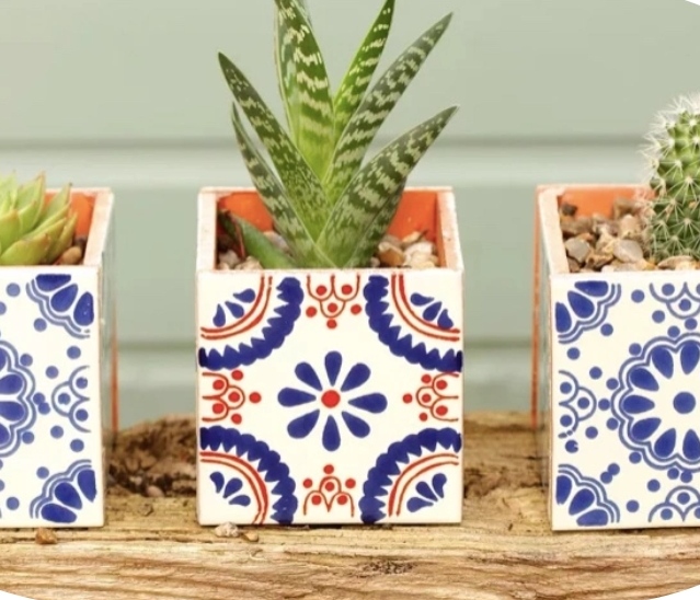 Faça um vaso de azulejos para suas plantinhas