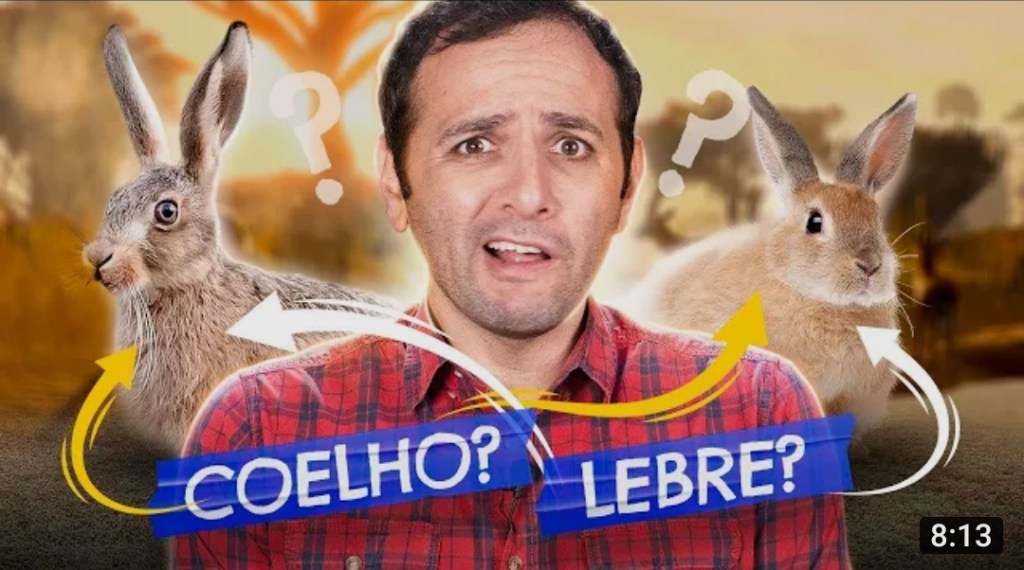 Assista a “MAIS 10 animais que VOCÊ CONFUNDE” no YouTube