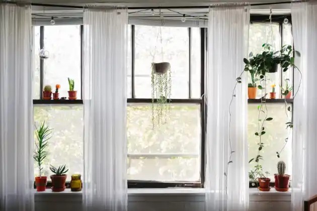 21 dicas para economizar energia&nbsp;elétrica