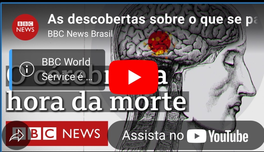 O que se passa no nosso cérebro quando&nbsp;morremos?